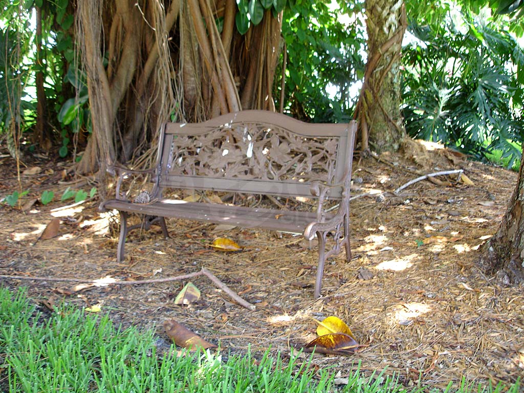 Forest Lakes Villas I-II Park Bench